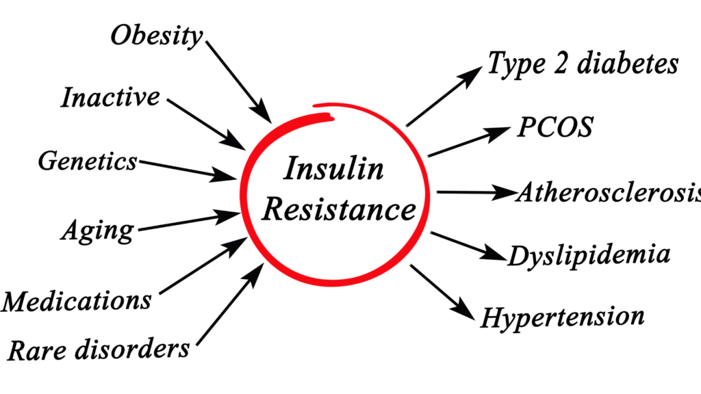 Insulin resistance